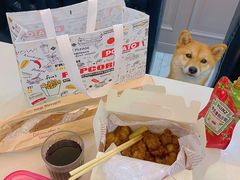 -猫头鹰炸鸡