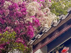 -深圳国际园林花卉博览园