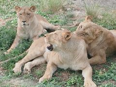 -西安秦岭野生动物园