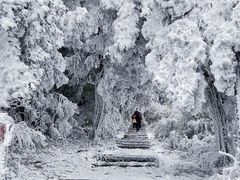 -南岳衡山风景名胜区-南岳大庙