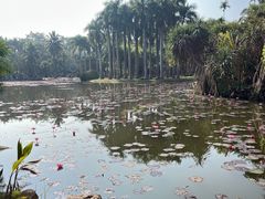 -中国科学院西双版纳热带植物园