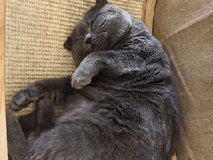 -Me Coffee下午茶艺术空间