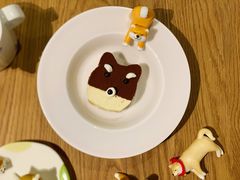 -柴务处·柴犬主题狗咖