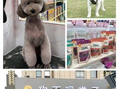 -狗不理喵子(百富路店)