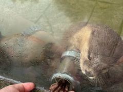 -杭州野生动物世界