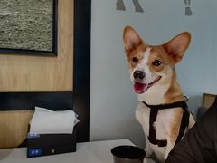 -潮发潮汕牛肉店(龙洞店)