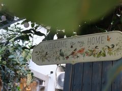 -溪岸路花鸟市场