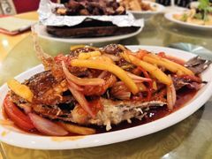 甜酸鱼-南江鸡饭店(龙华雅苑分店)