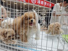 -上海长风大悦城