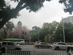 -柳侯公园