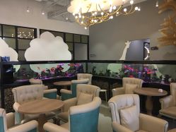 -可爱多国际儿童摄影会馆(龙泉店)