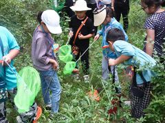 -北京市府学胡同小学