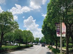 -上海佘山世茂艾美酒店