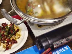 -七菜馆·东北菜·蒸饺(文体路店)