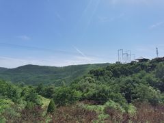 -铜川市金锁关石林