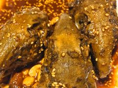 -老号尤兔头(幸福店)