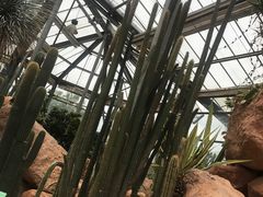 -华南国家植物园-售票处