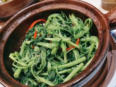 空心菜-潮庭港式茶餐厅·熊仔奶茶(同济广场店)