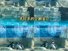 -北京动物园
