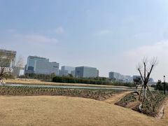 -春花秋色城市公园