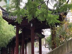 -龙潭水乡