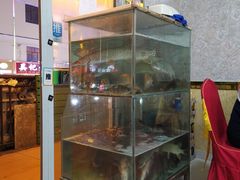 -煲来饱去冷水鱼