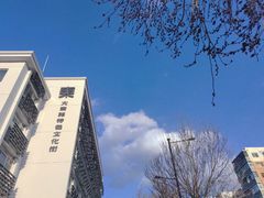 -大悦城(沈阳中街店)