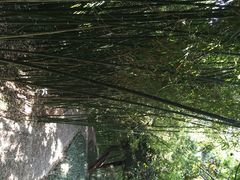 包公祠-包公祠