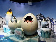-海合安天津极地海洋公园