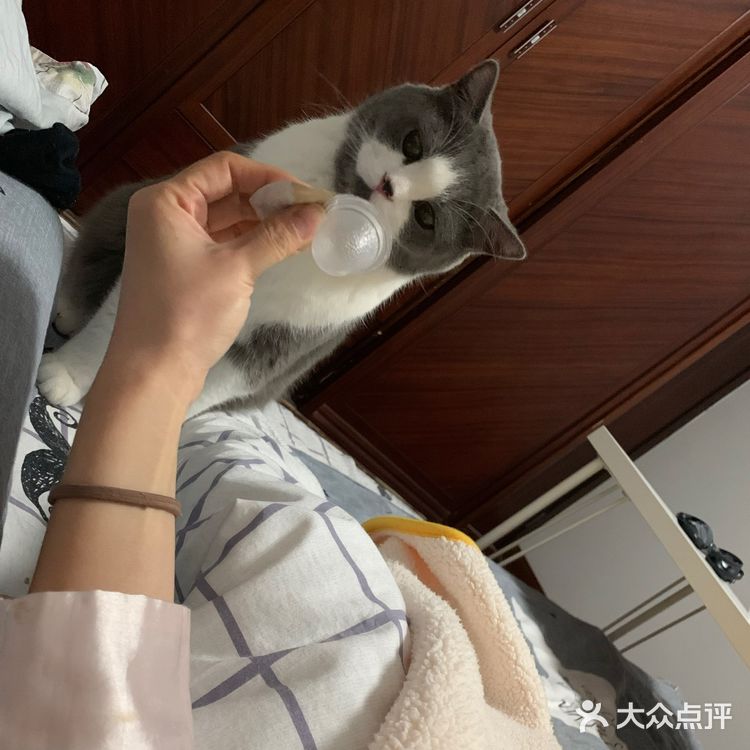 像这样？我家主子的高萌瞬间