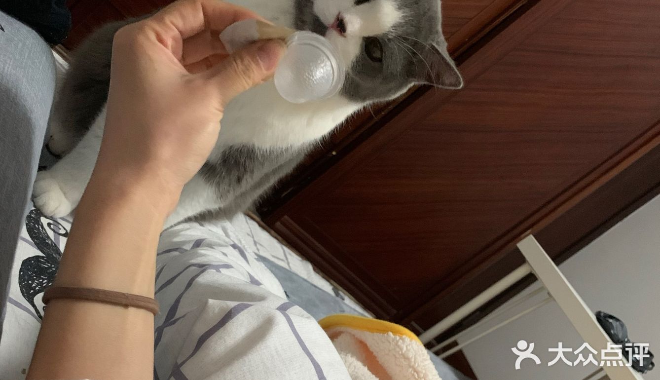 像这样？我家主子的高萌瞬间