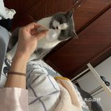 像这样？我家主子的高萌瞬间