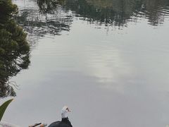 -南沙蒲洲花园