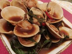 九层塔鲜蛤-浦华大酒店-台南担仔面海鲜楼