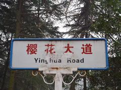 -武汉大学-樱园
