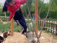 -绿堤公园
