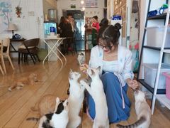 -Cappucimeow猫咪咖啡馆(韦伯时代店)