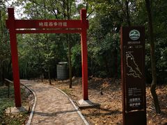 -大屏嶂森林公园