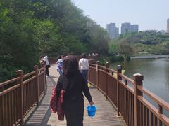 -重庆彩云湖湿地公园