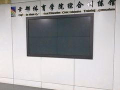 -武术世家少儿培训中心(首都体育学院店)
