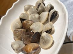 卜卜花甲白贝-丰尔粥食·粥底火锅(大良总店)