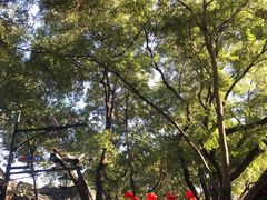 景点-南锣鼓巷