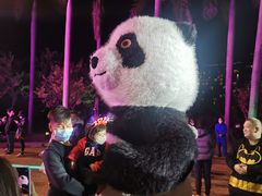 -清远熹乐谷温泉度假酒店