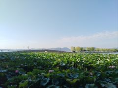 -浙江西子宾馆·牡丹厅