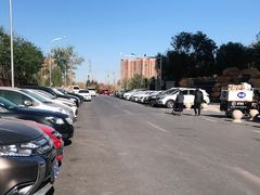 -东坝千亩湖公园