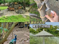 -宁波野生动物园