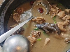 -蘑统田下·野生菌火锅