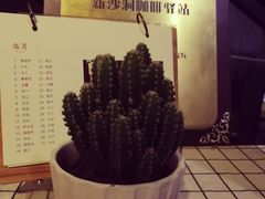 景观位-新沙洞咖啡(泉乐坊店)