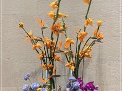 -北京三里屯CHAO酒店