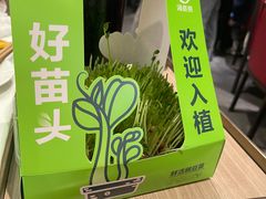 -海底捞大排档火锅(打浦路店)